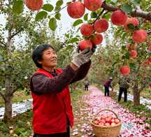 渔业养殖技术[shù]